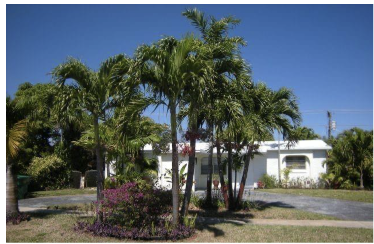 4841 NW 19th Court, Lauderhill